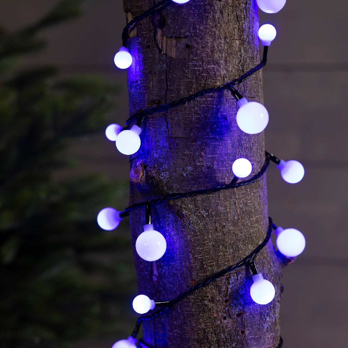Lampki LED ''Wiśnie'' 120L – 9 m – Kolor zmienny
