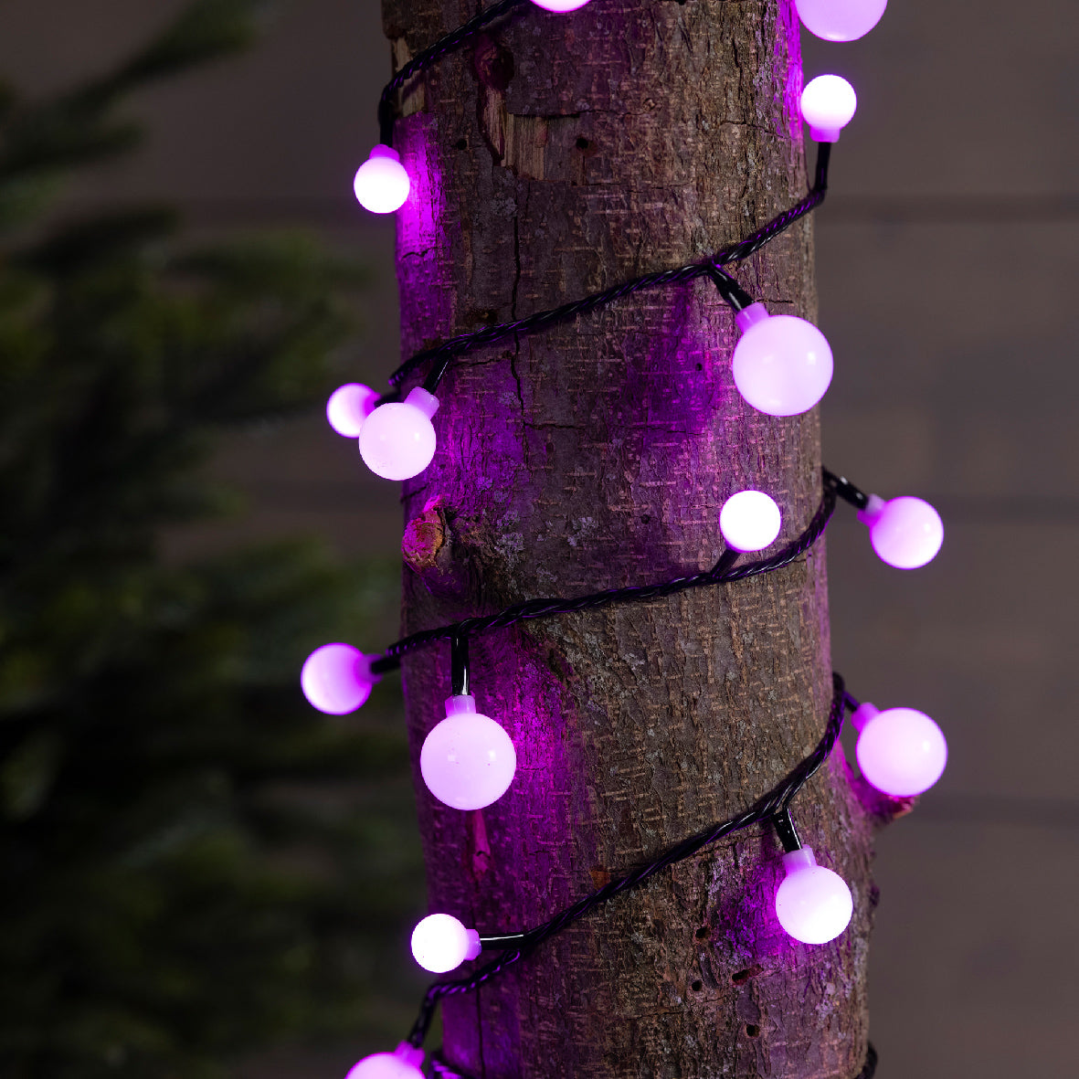 Lampki LED ''Wiśnie'' 120L – 9 m – Kolor zmienny