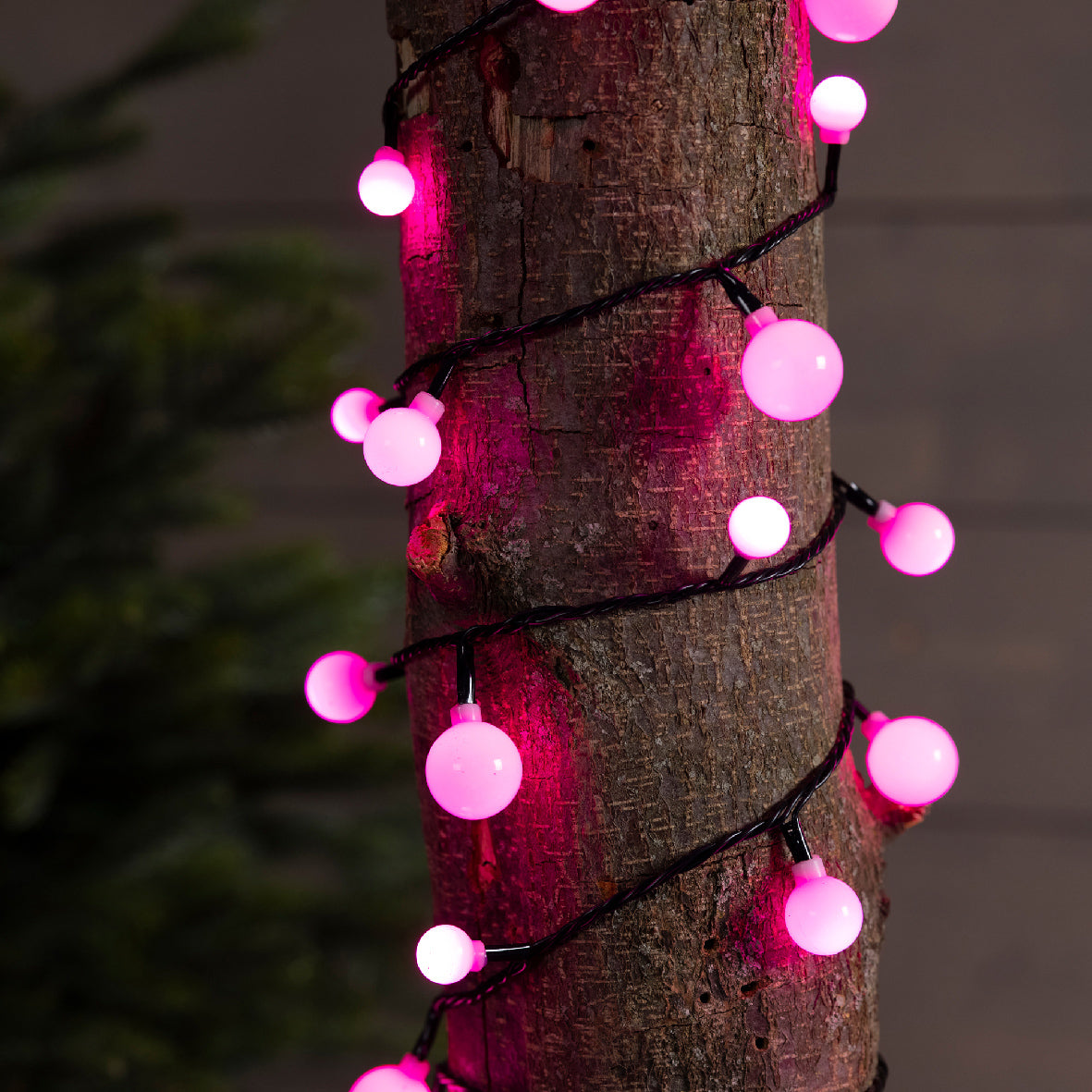 Lampki LED ''Wiśnie'' 120L – 9 m – Kolor zmienny