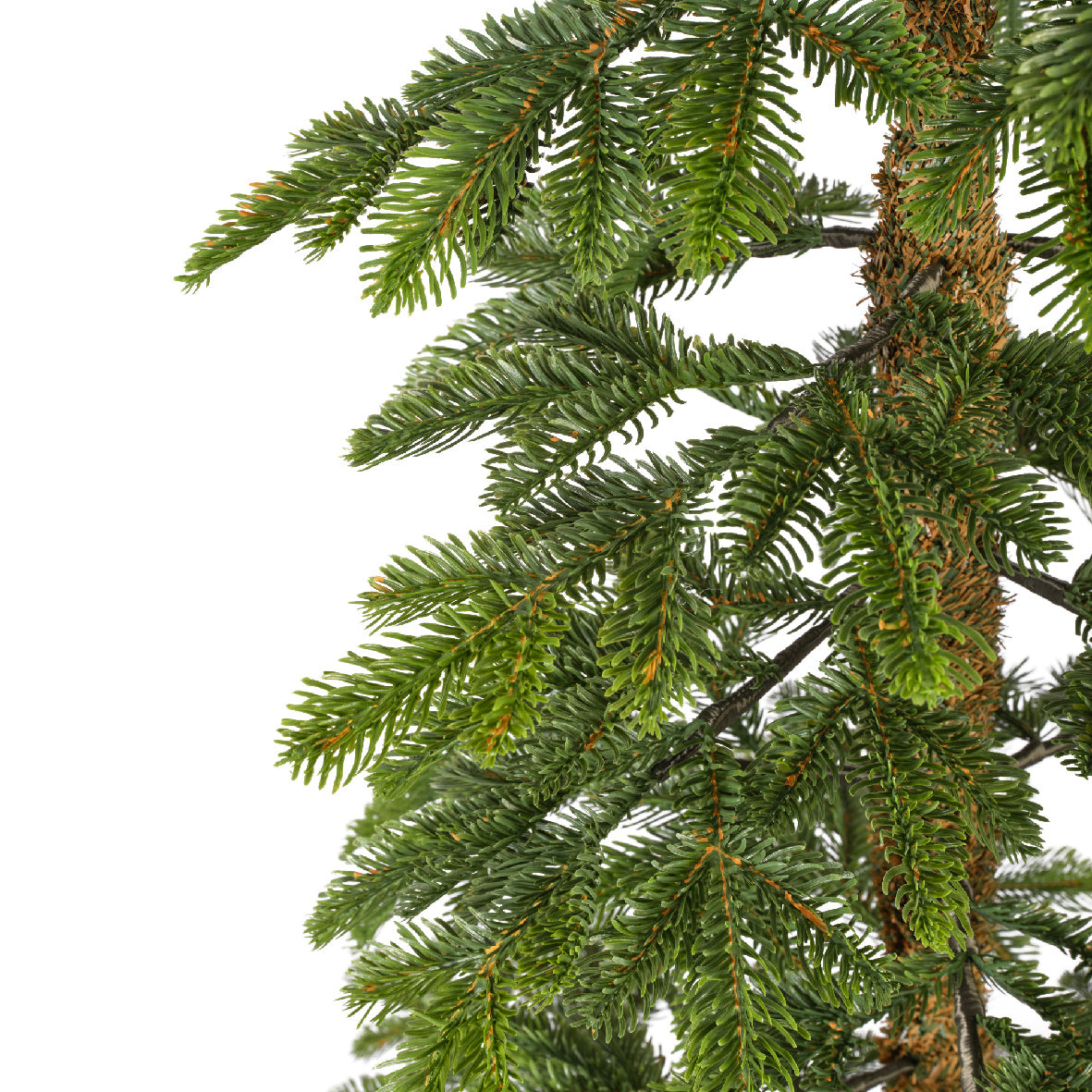 Choinka Alpine Fir 180 cm