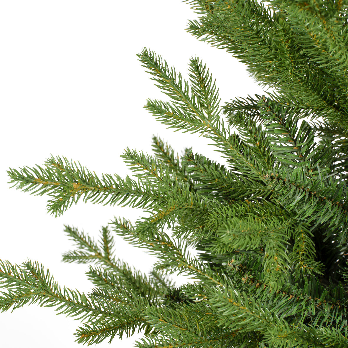 Choinka Doniczkowa Norway 60 cm