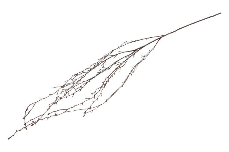 Gałązka zwisająca Brzoza XL Brązowa