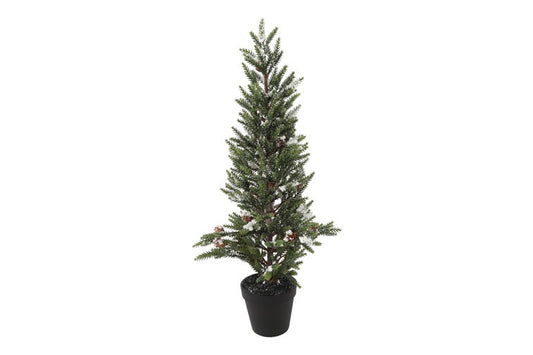 Choinka świąteczna  Jodła Koreańska, 66 cm Zielona