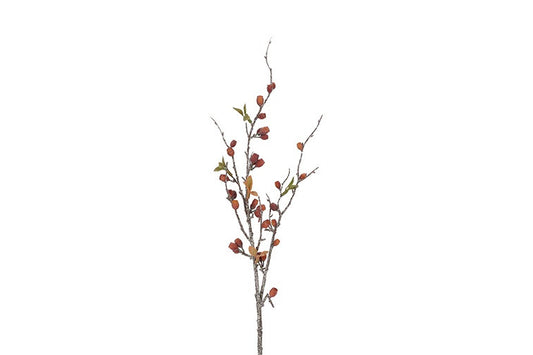 Gałązka Eukaliptus Corymbia – pomarańczowa, 77 cm