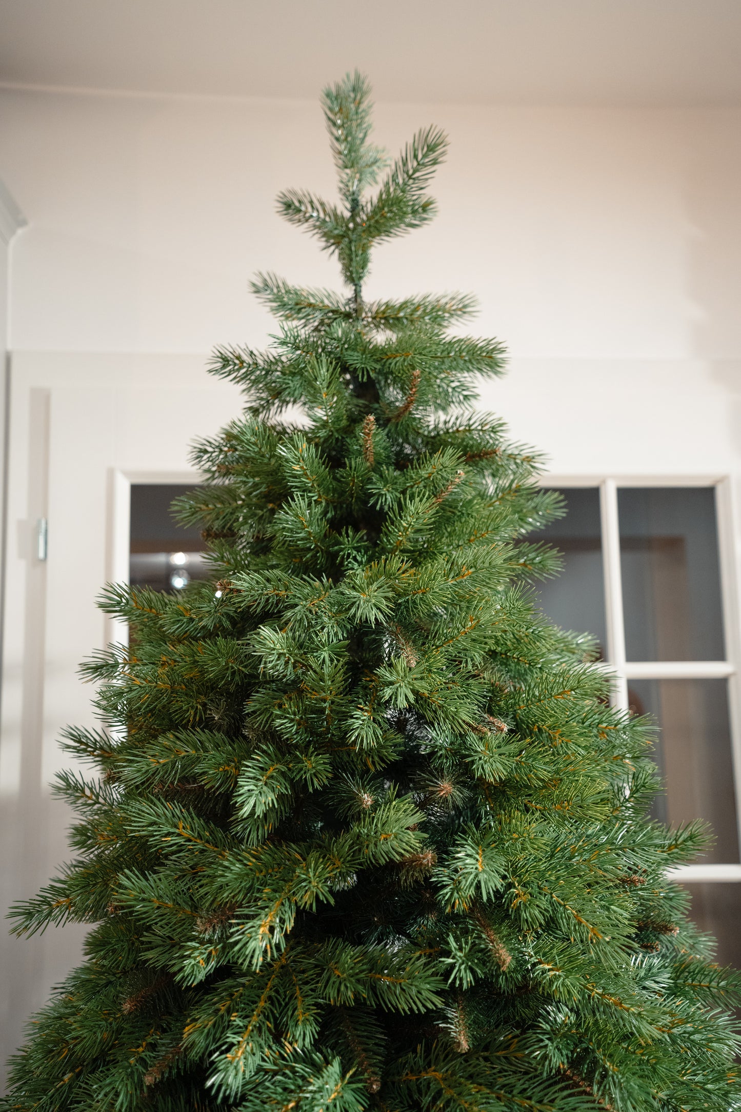 Choinka PE+PVC sosna 180/220/250 cm