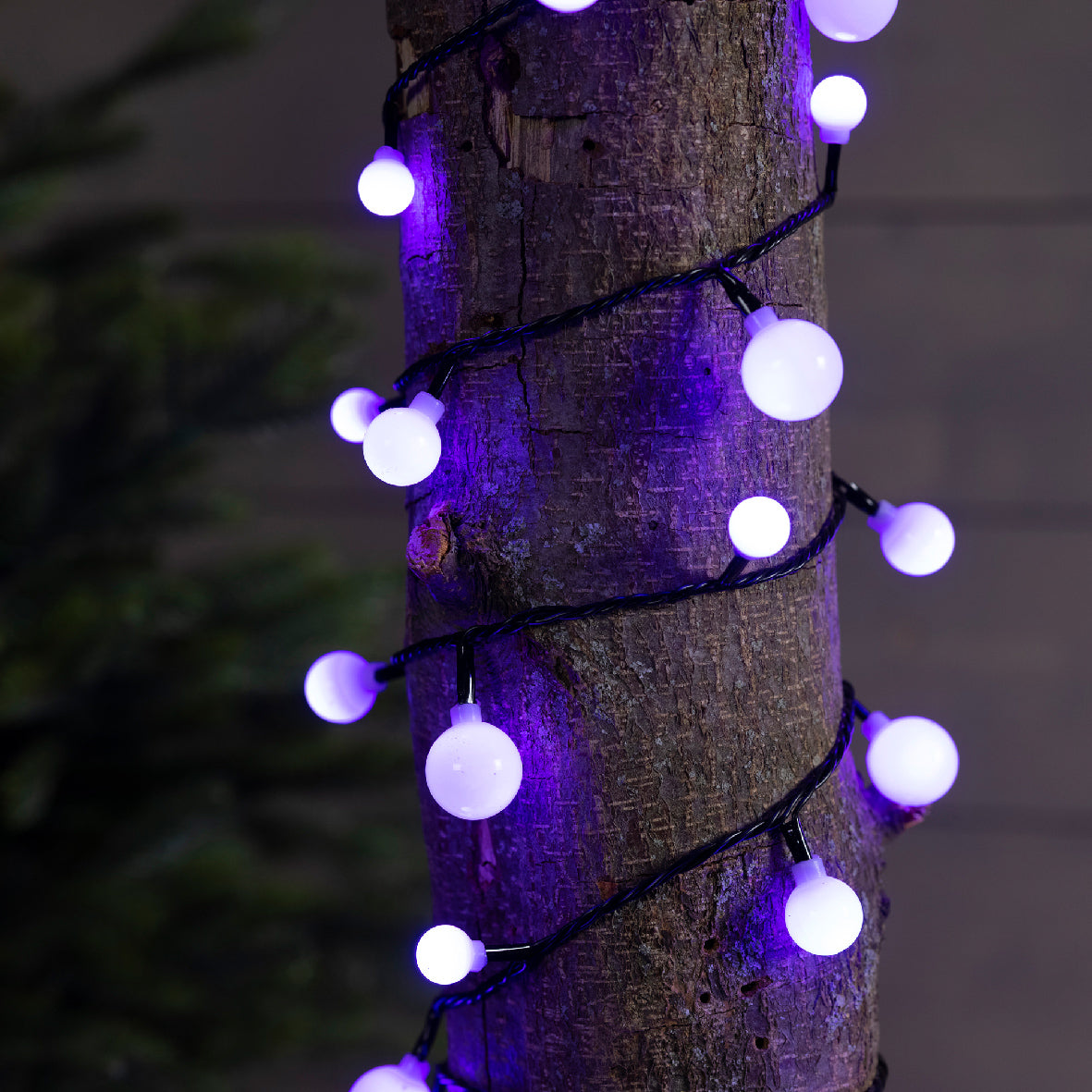 Lampki LED ''Wiśnie'' 120L – 9 m – Kolor zmienny