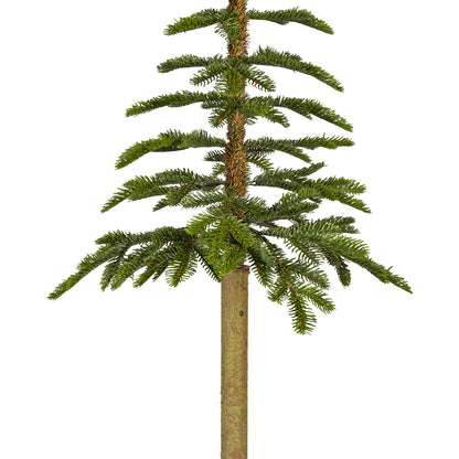 Choinka Alpine Fir 120 cm