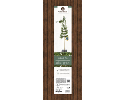 Choinka Alpine Fir 150 cm