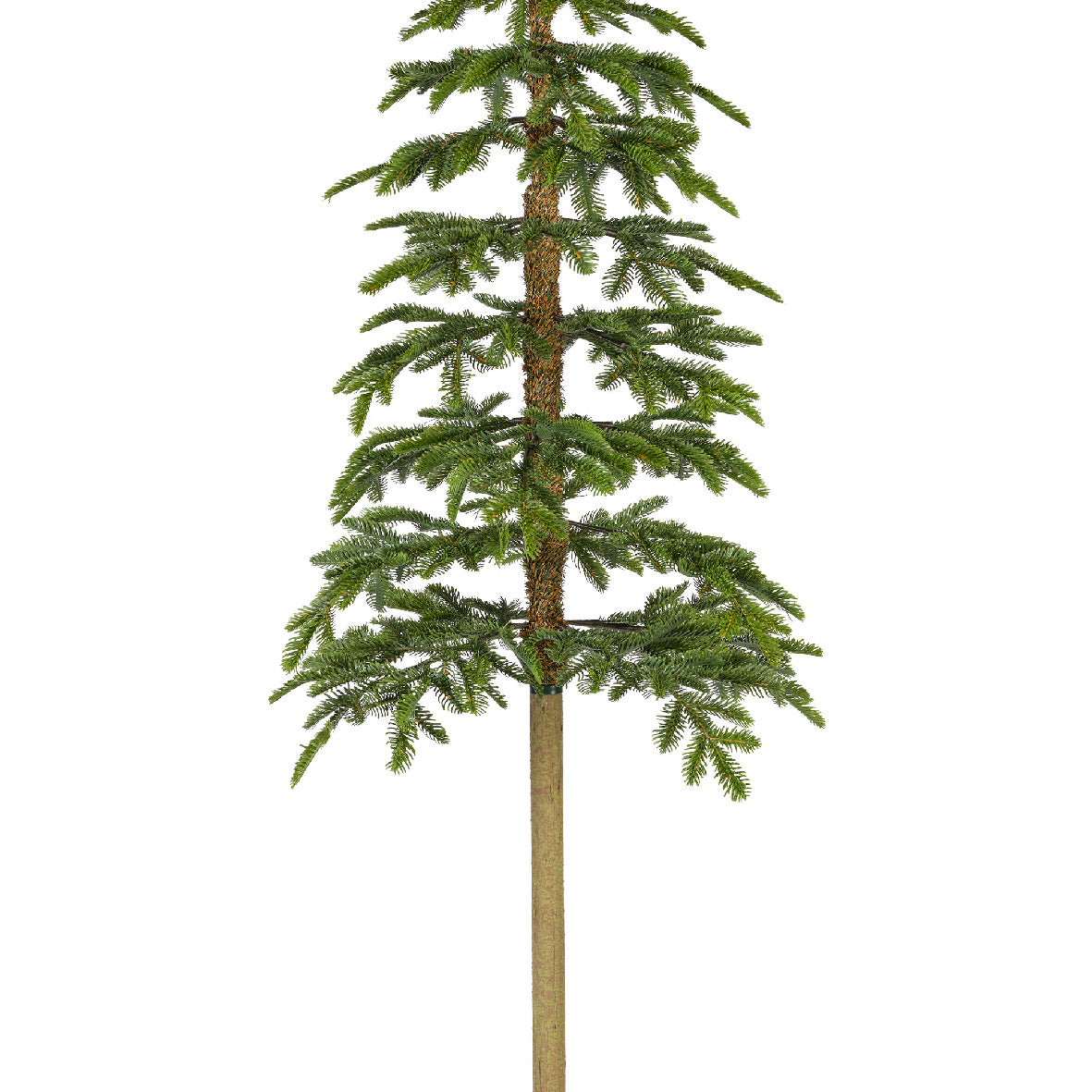 Choinka Alpine Fir 180 cm