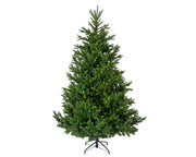 Choinka Nordmann Fir 210 cm