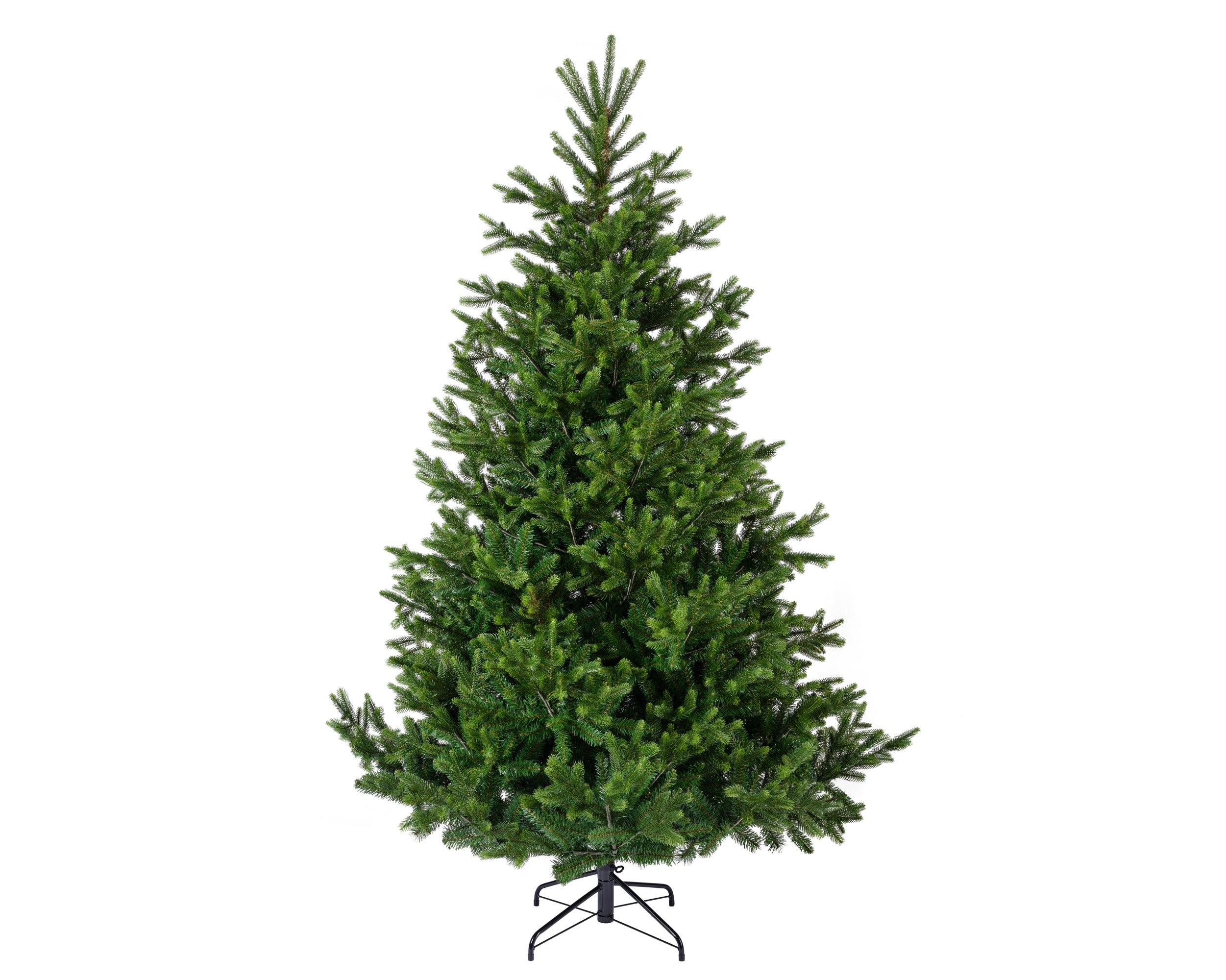 Choinka Nordmann Fir 210 cm