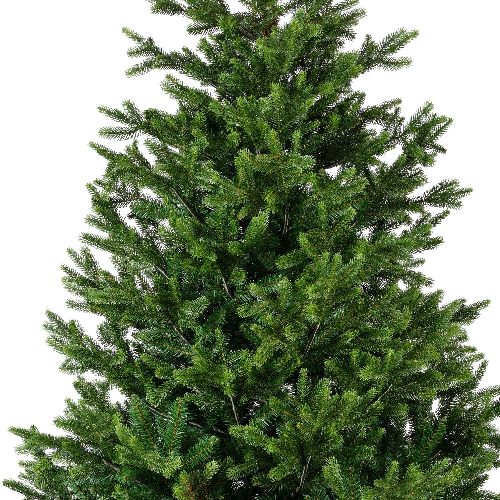 Choinka Nordmann Fir 210 cm
