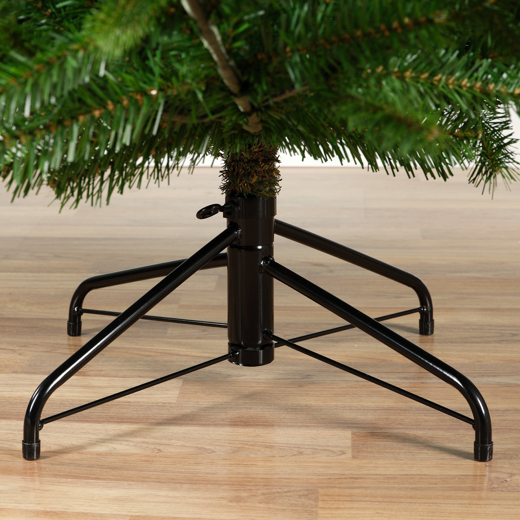 Choinka Nordmann Fir 210 cm