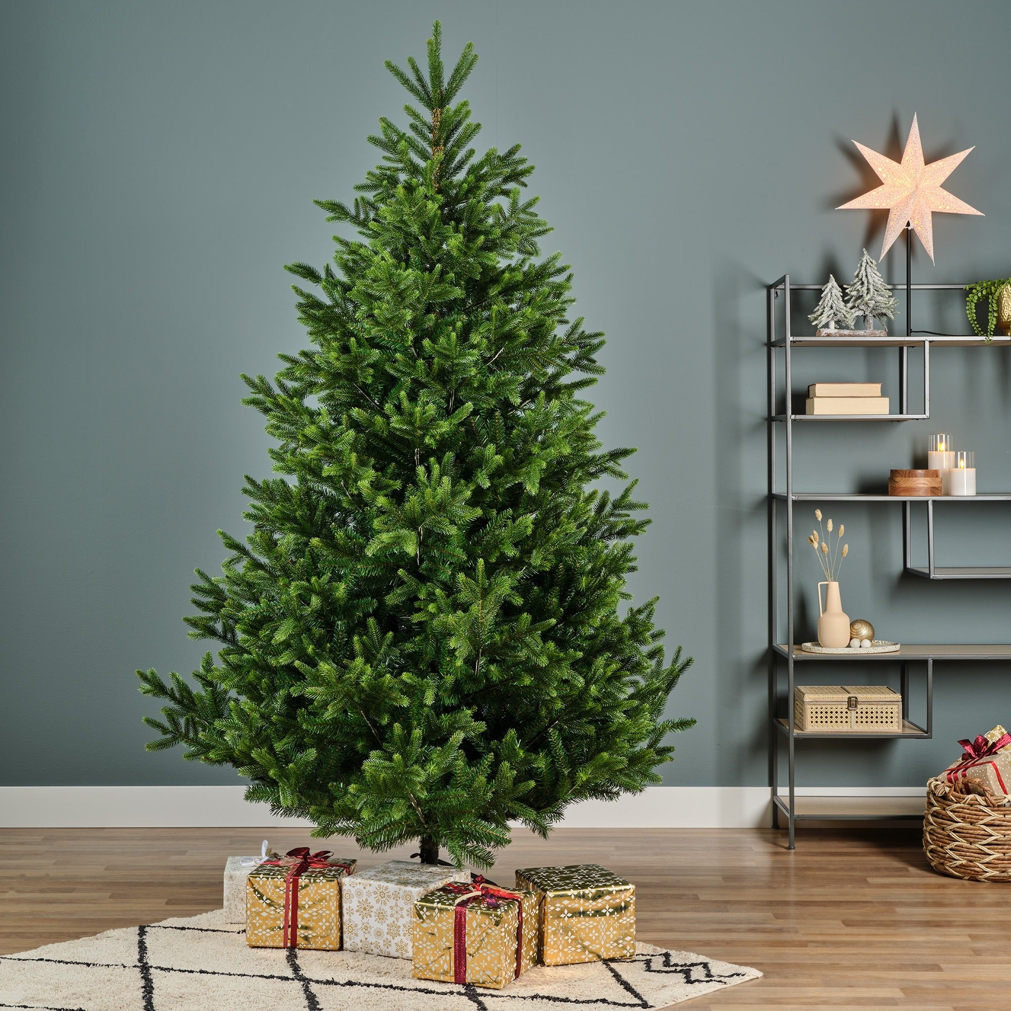 Choinka Nordmann Fir 210 cm