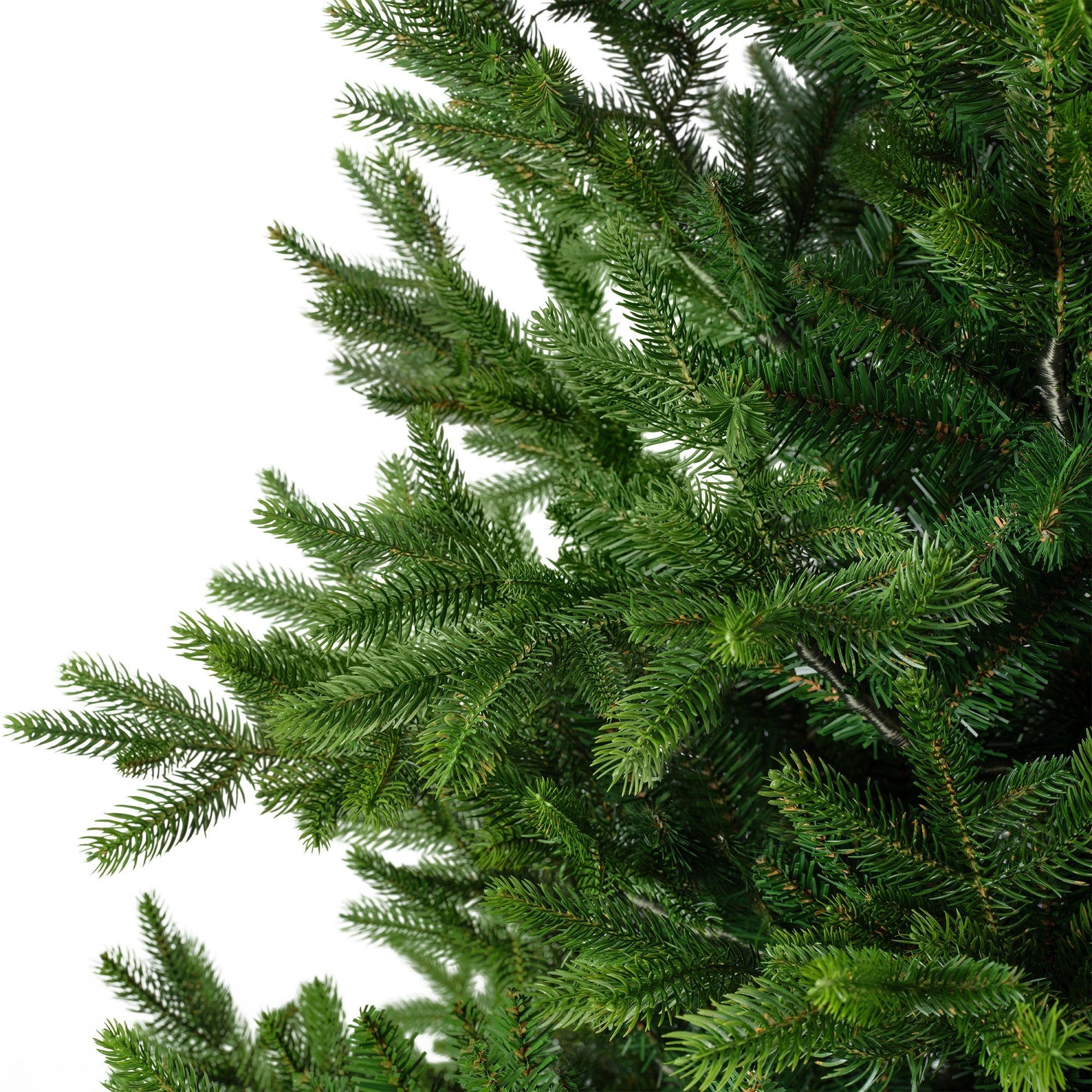 Choinka Nordmann Fir 210 cm