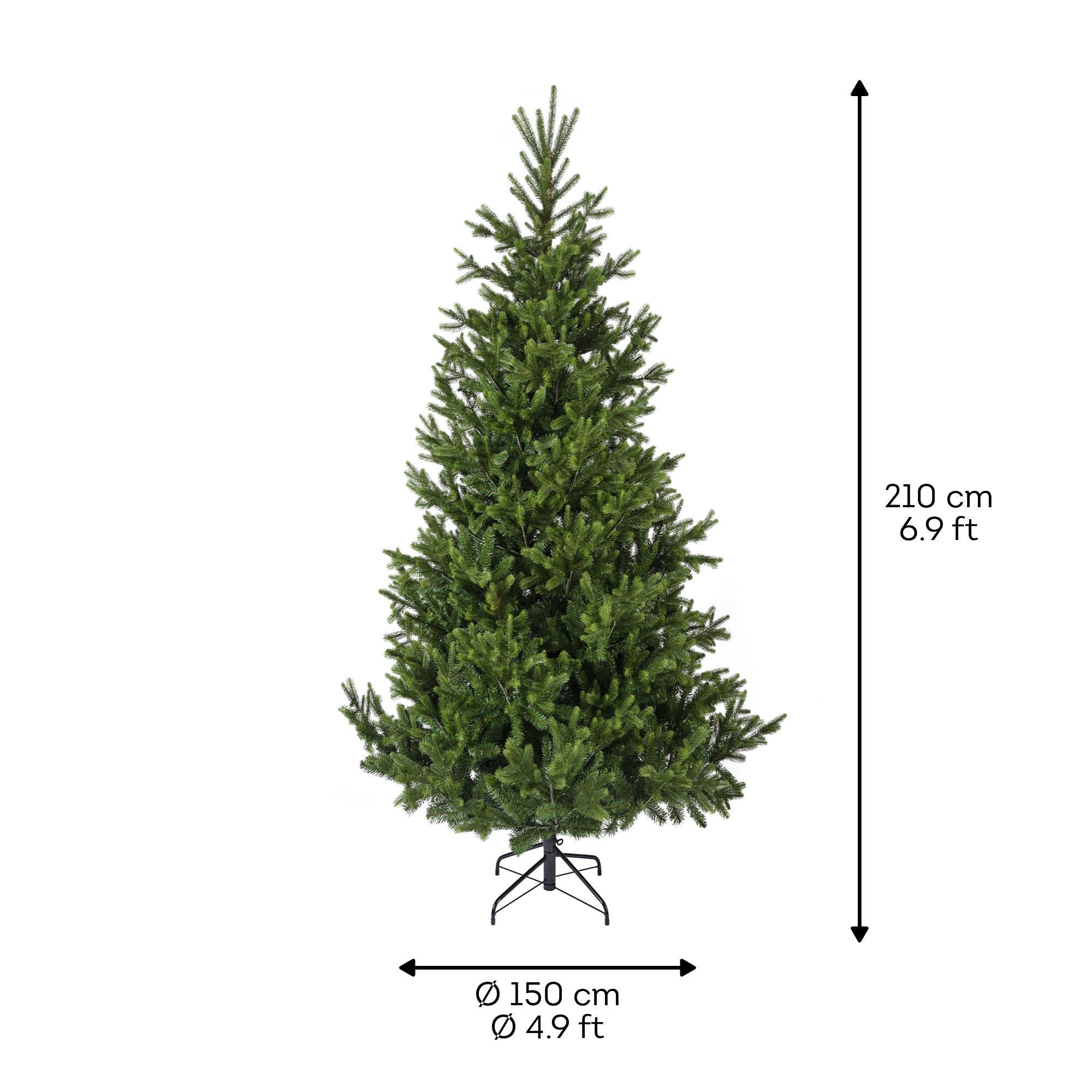 Choinka Nordmann Fir 210 cm
