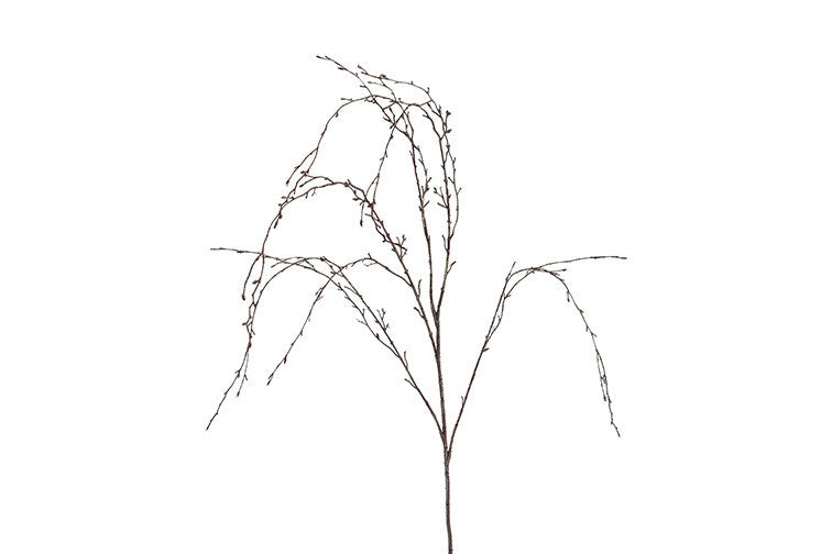 Gałązka zwisająca Brzoza XL Brązowa