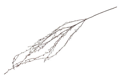 Gałązka zwisająca Brzoza XL Brązowa