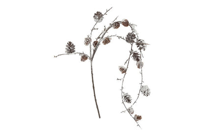 Gałązka zwisająca Modrzew Brązowa