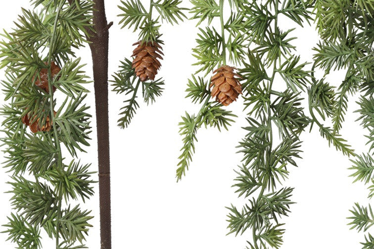 Gałązka Sosny z Szyszkami Zielona