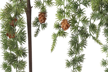 Gałązka Sosny z Szyszkami Zielona