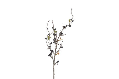 Gałązka dekoracyjna Eukaliptus Corymbia – czarna, 77 cm