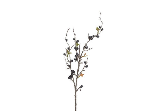 Gałązka dekoracyjna Eukaliptus Corymbia – czarna, 77 cm
