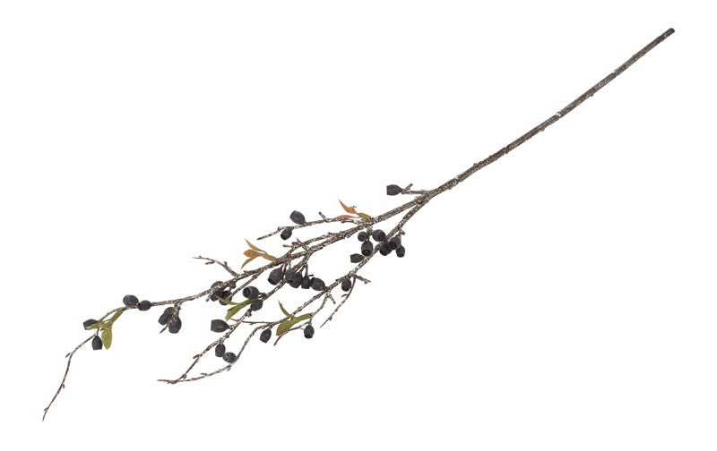 Gałązka dekoracyjna Eukaliptus Corymbia – czarna, 77 cm
