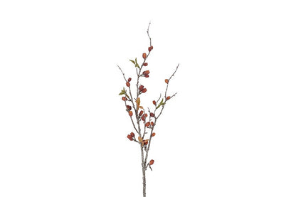 Gałązka Eukaliptus Corymbia – pomarańczowa, 77 cm