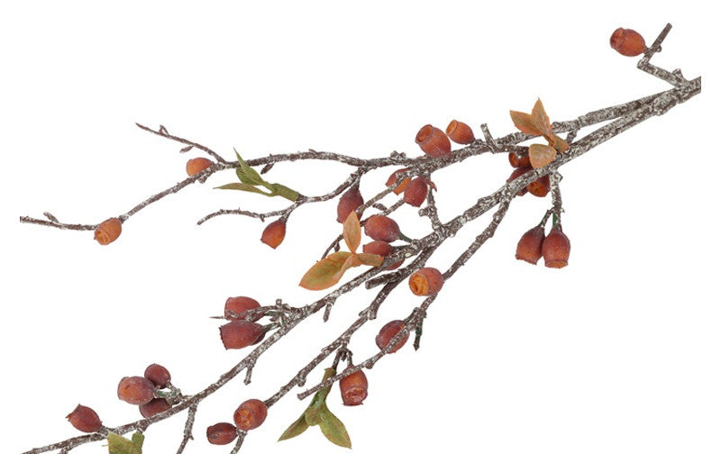 Gałązka Eukaliptus Corymbia – pomarańczowa, 77 cm