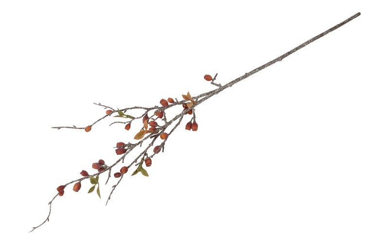 Gałązka Eukaliptus Corymbia – pomarańczowa, 77 cm