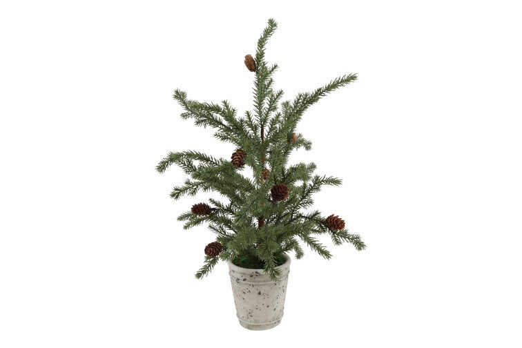 Choinka świerk pospolity 22 cm