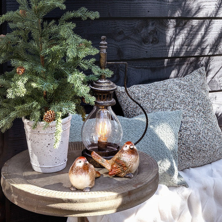 Choinka świerk pospolity 22 cm