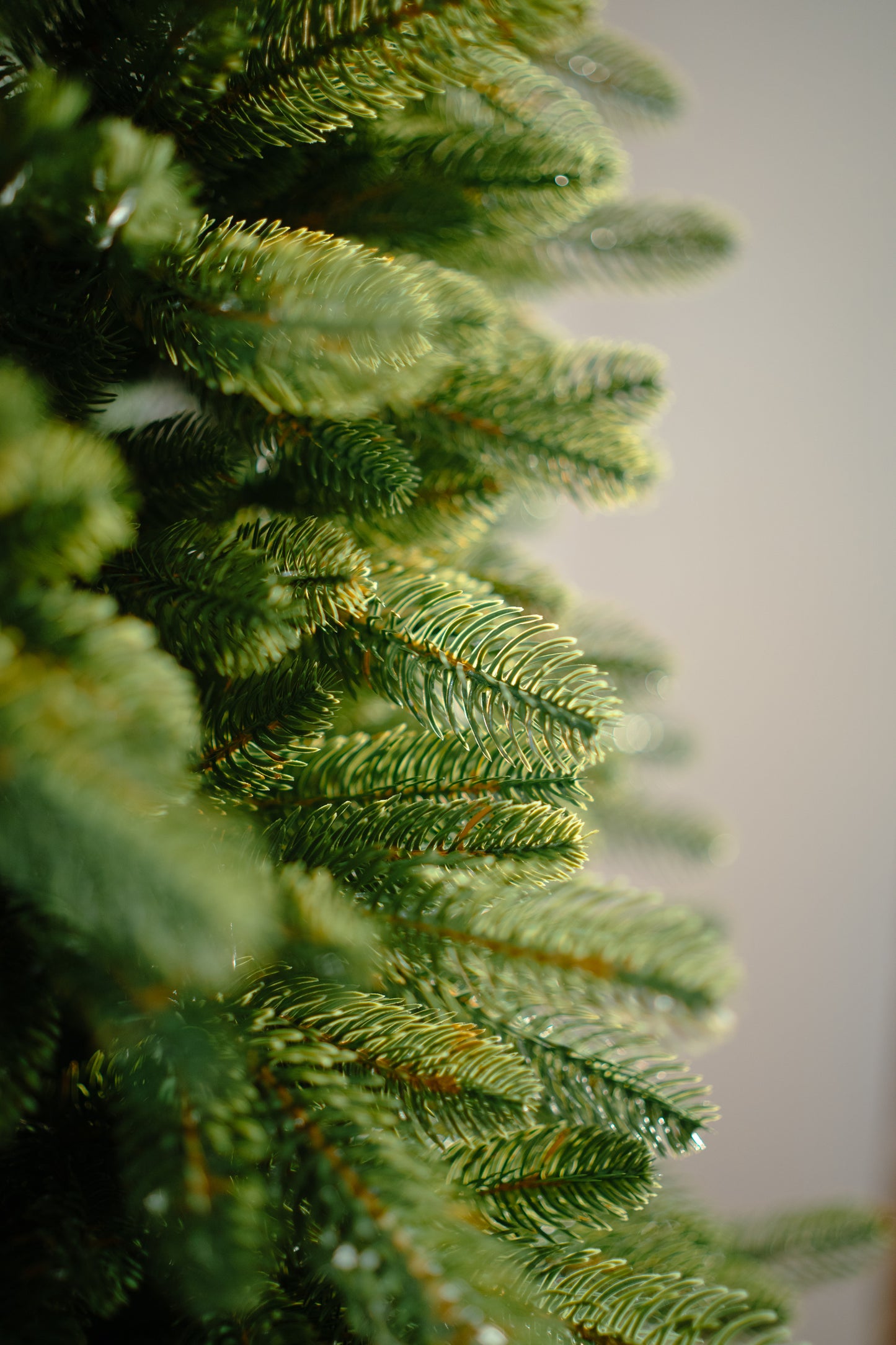 Choinka 100% PE świerk 180/220/250 cm