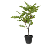 Sztuczne drzewko figowe w doniczce – 60 cm