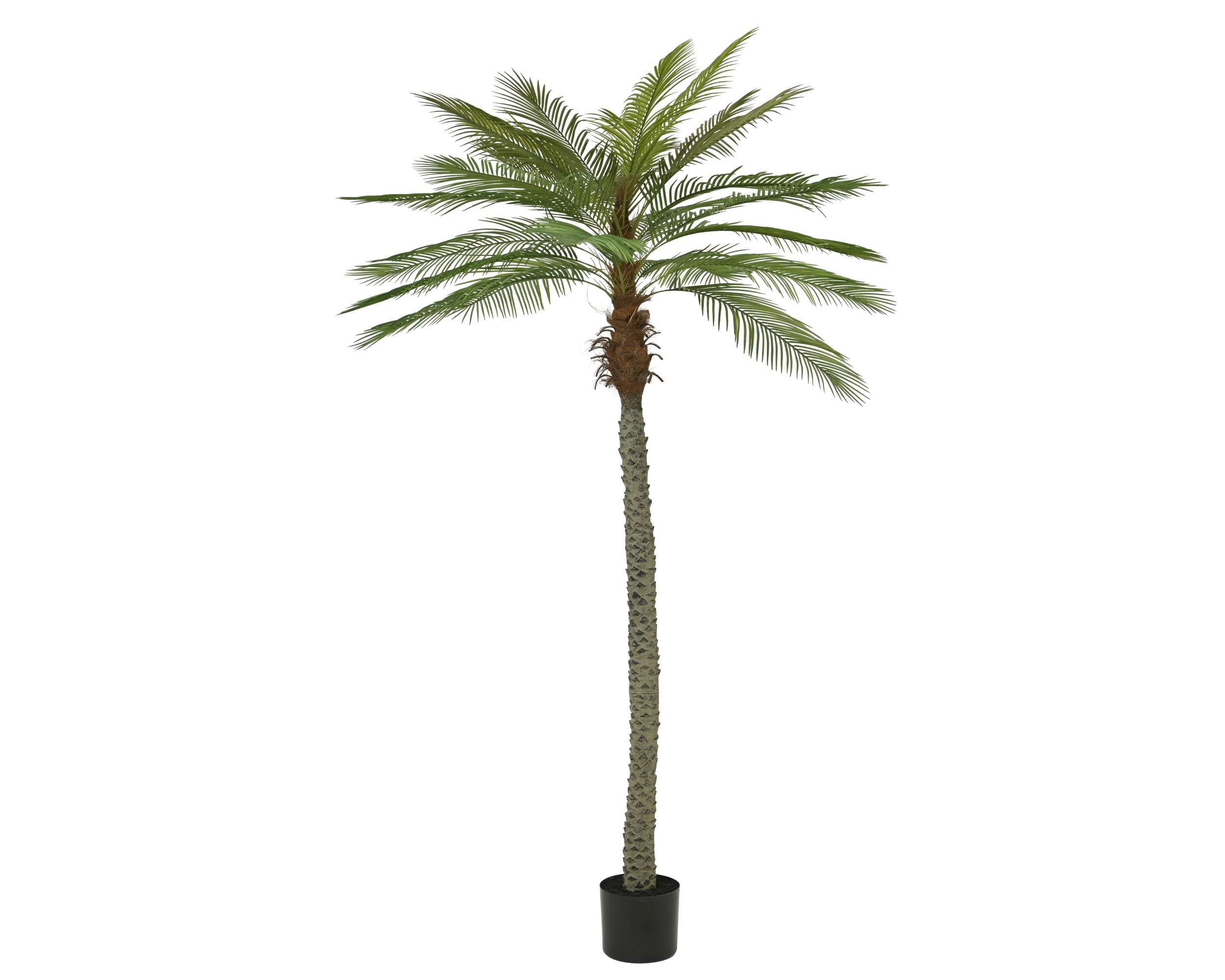 Sztuczna palma dekoracyjna PE - 270 cm