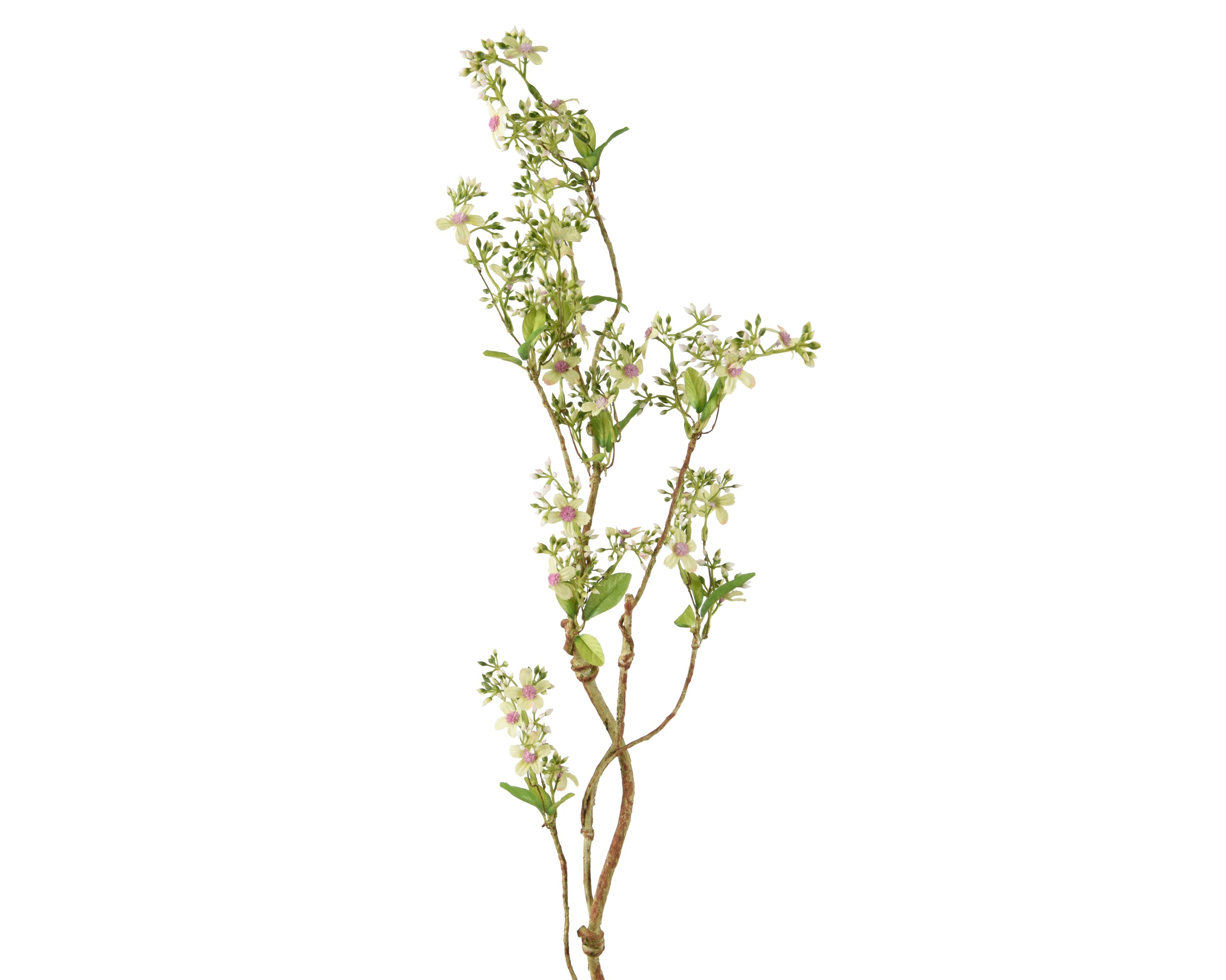 Gałązka kosmosu drobnokwiatowego – 91 cm