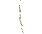 Girlanda kosmosu drobnokwiatowego – 147 cm