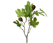 Gałązka figowa - 63 cm