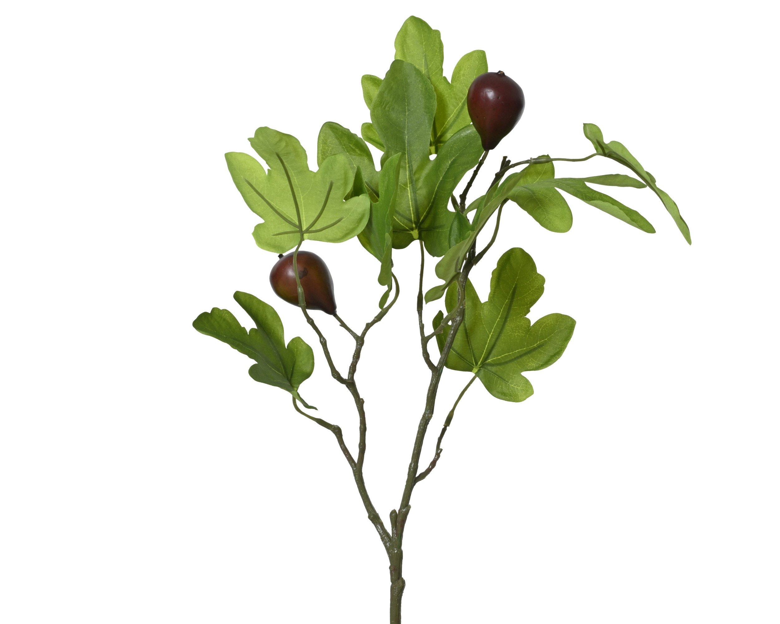 Gałązka figowa - 63 cm