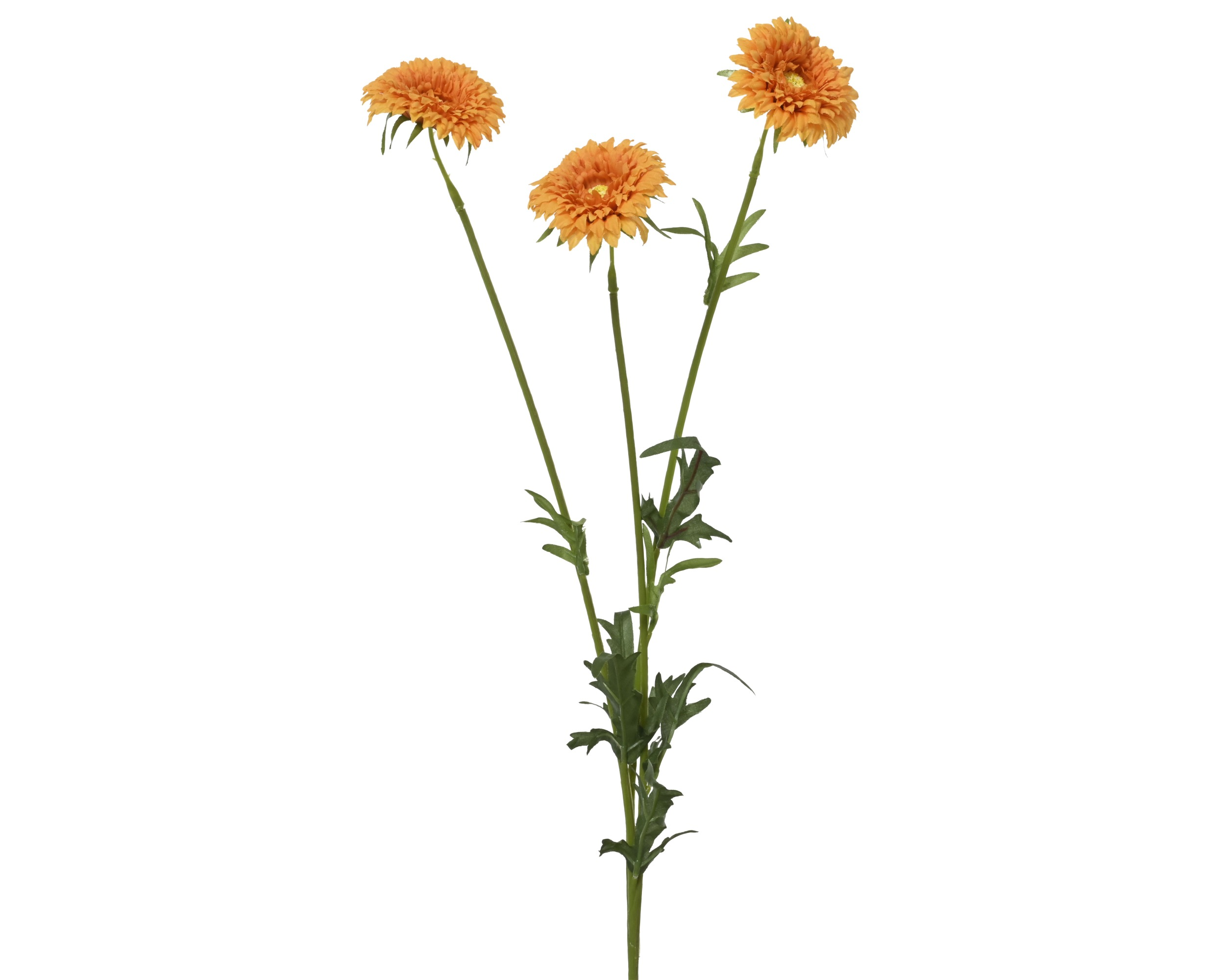 Nagietek na łodydze – pomarańczowy, 68 cm