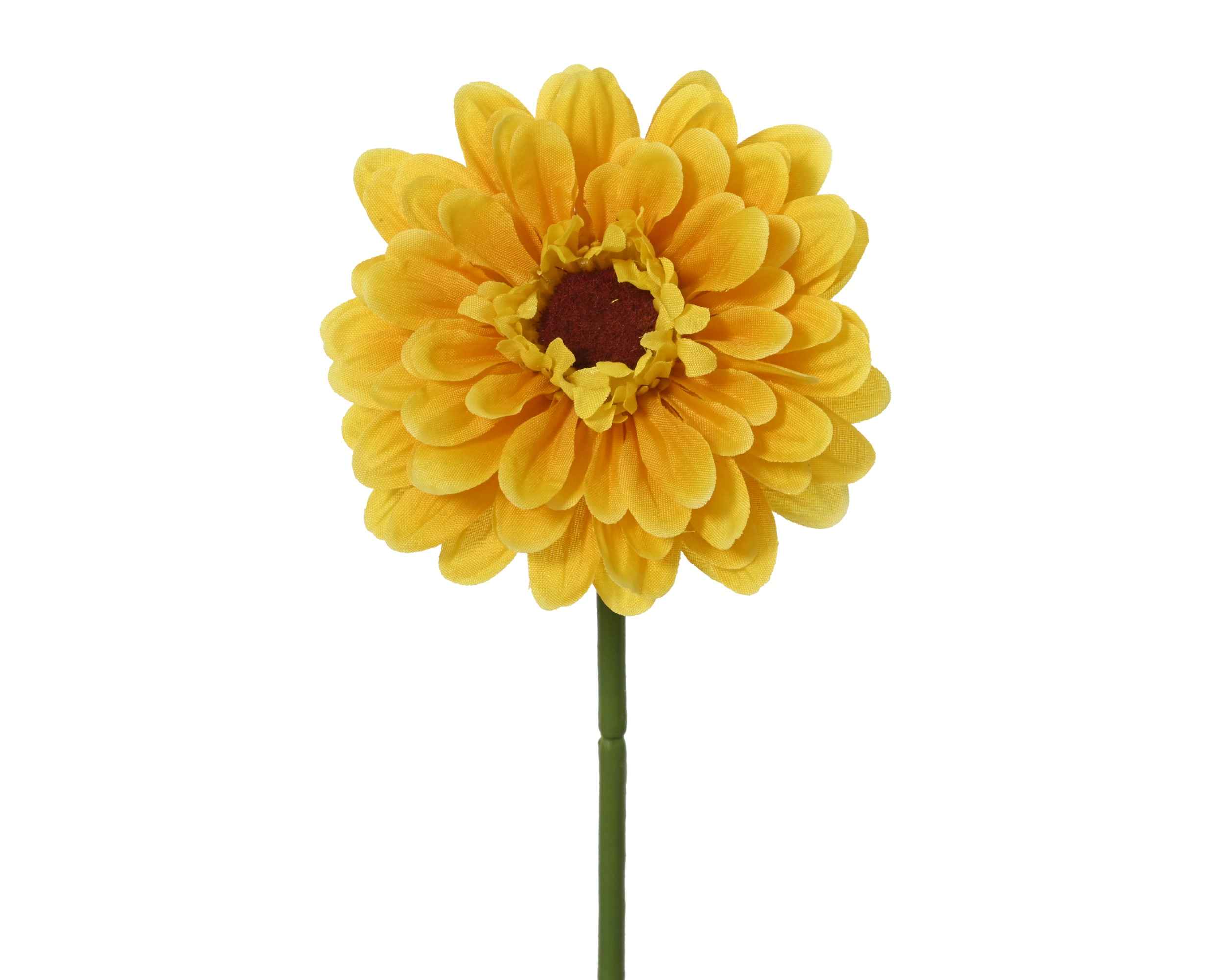 Cynia na łodydze – żółta, 42 cm