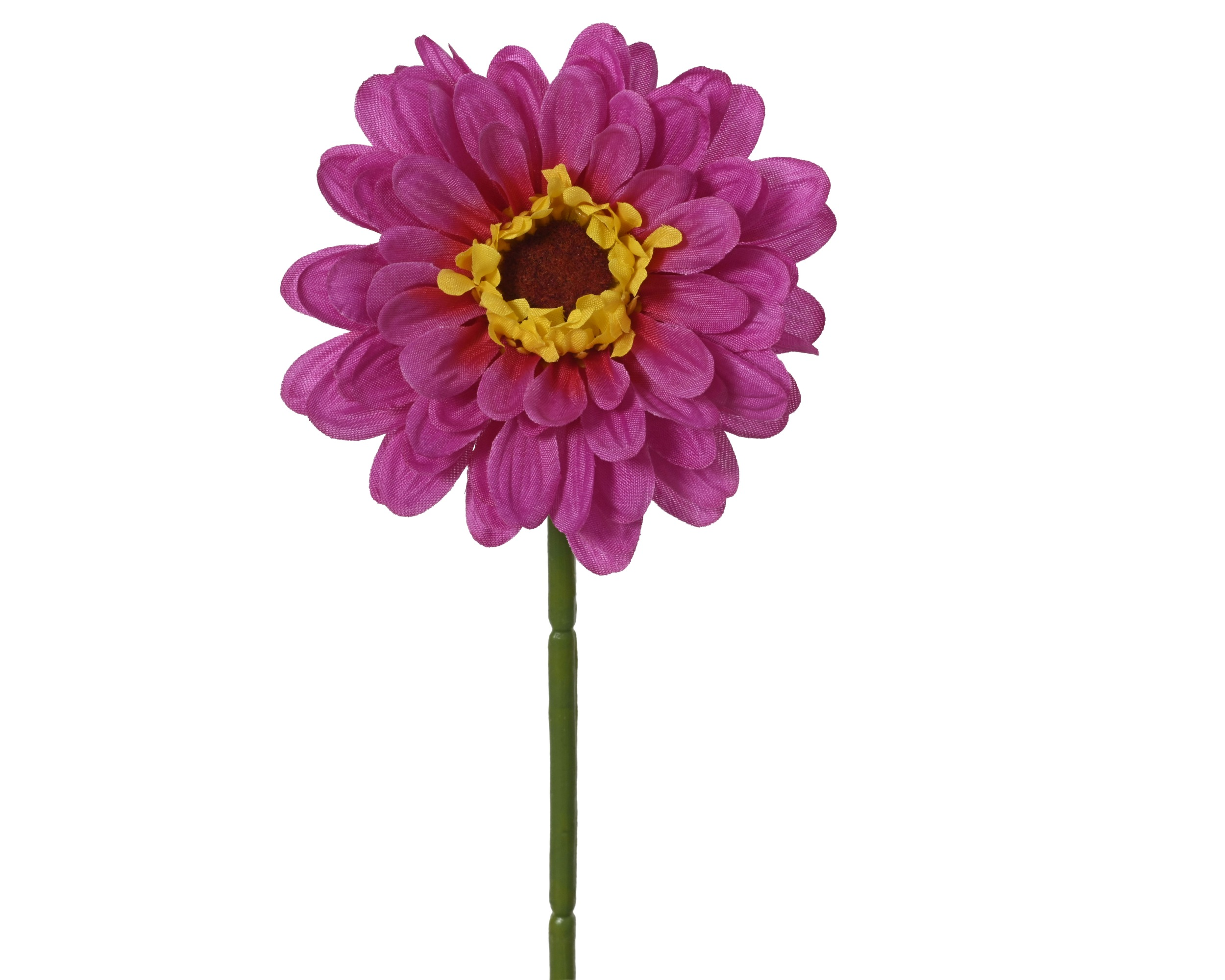 Cynia na łodydze – fioletowy, 42 cm