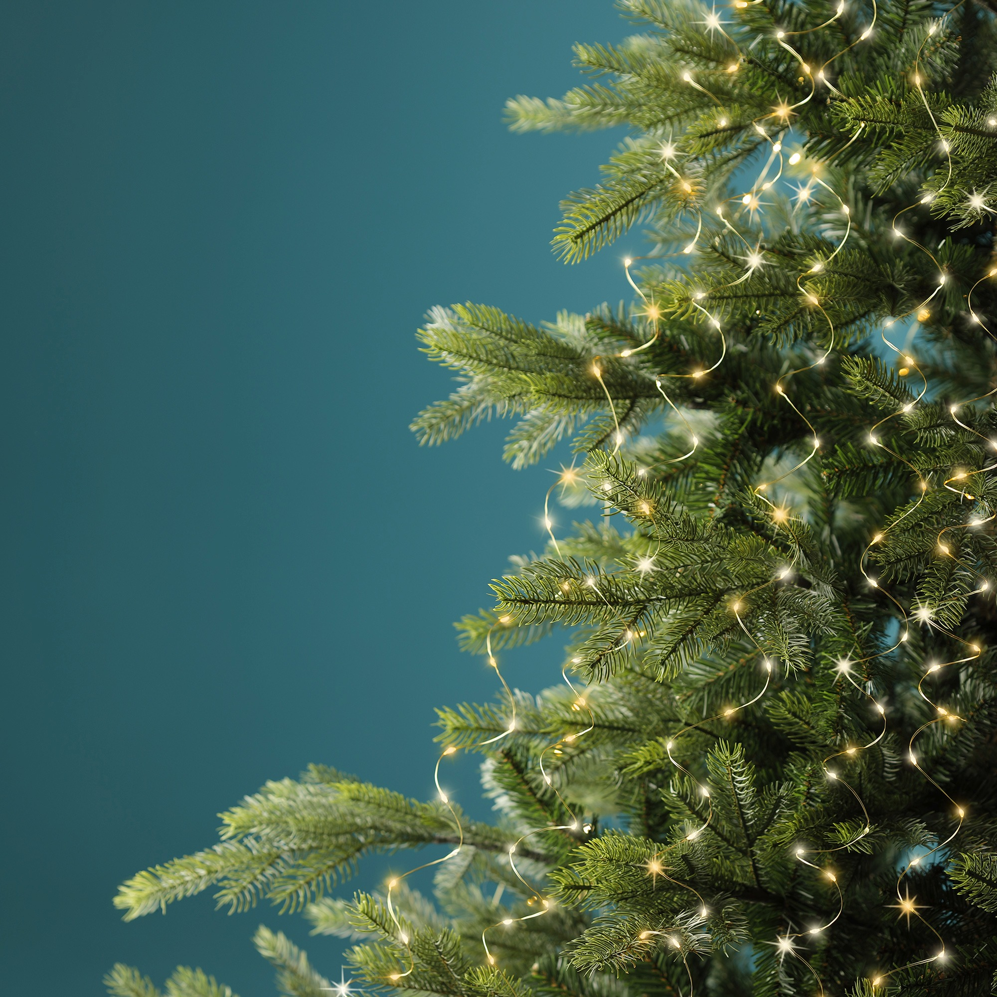 Ciepłe lampki Micro LED na druciku  210 cm – zewnętrzne