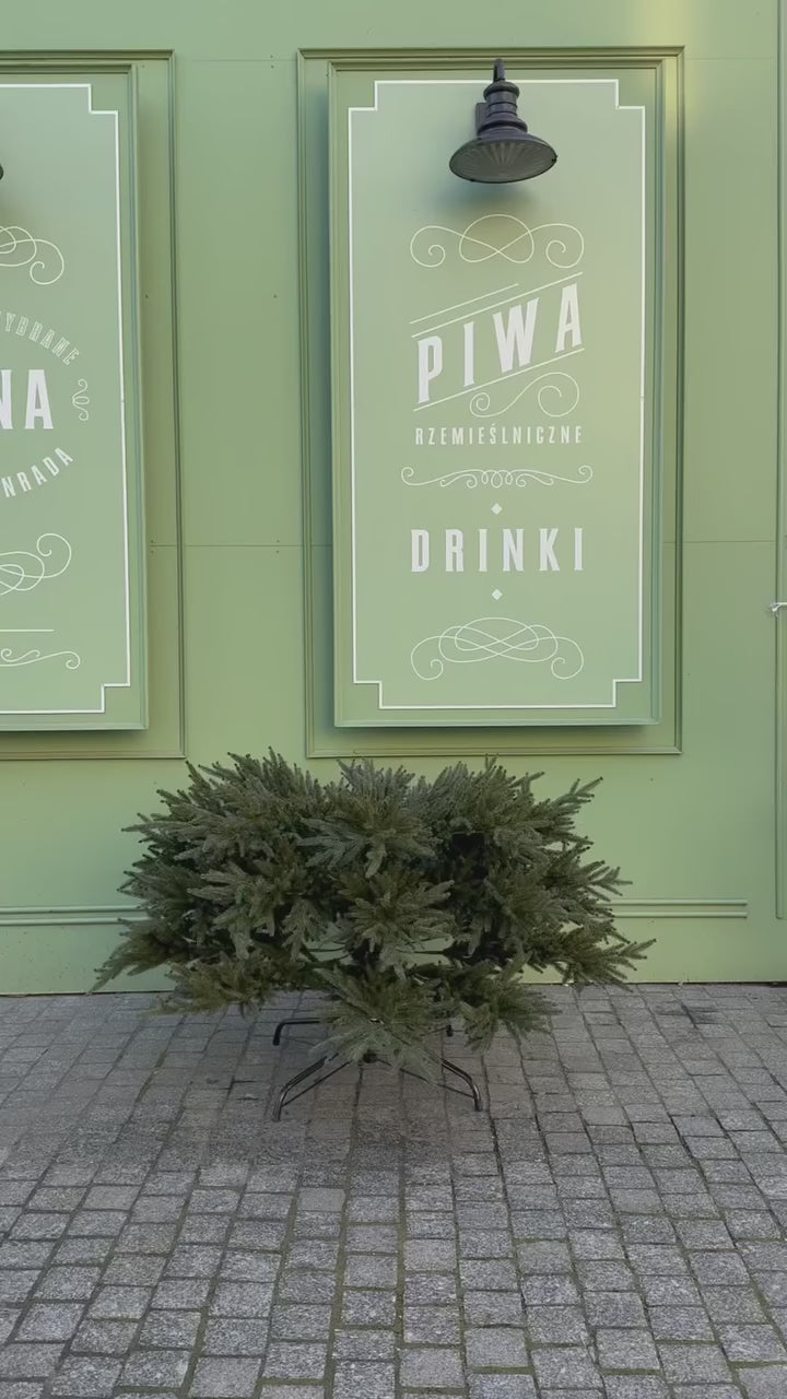 Załaduj wideo: Choinka Świerk Koreański Parasolka 100% PE 220/250 cm