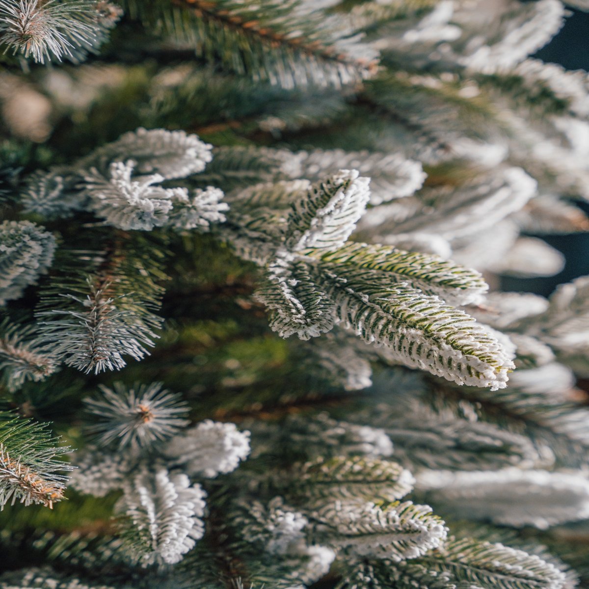 Choinka PE+PVC ośnieżona XXL 220cm