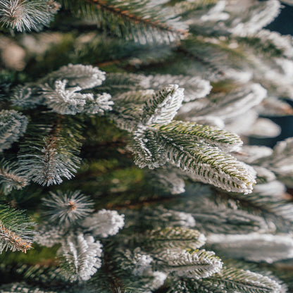 Choinka PE+PVC ośnieżona XXL 220cm